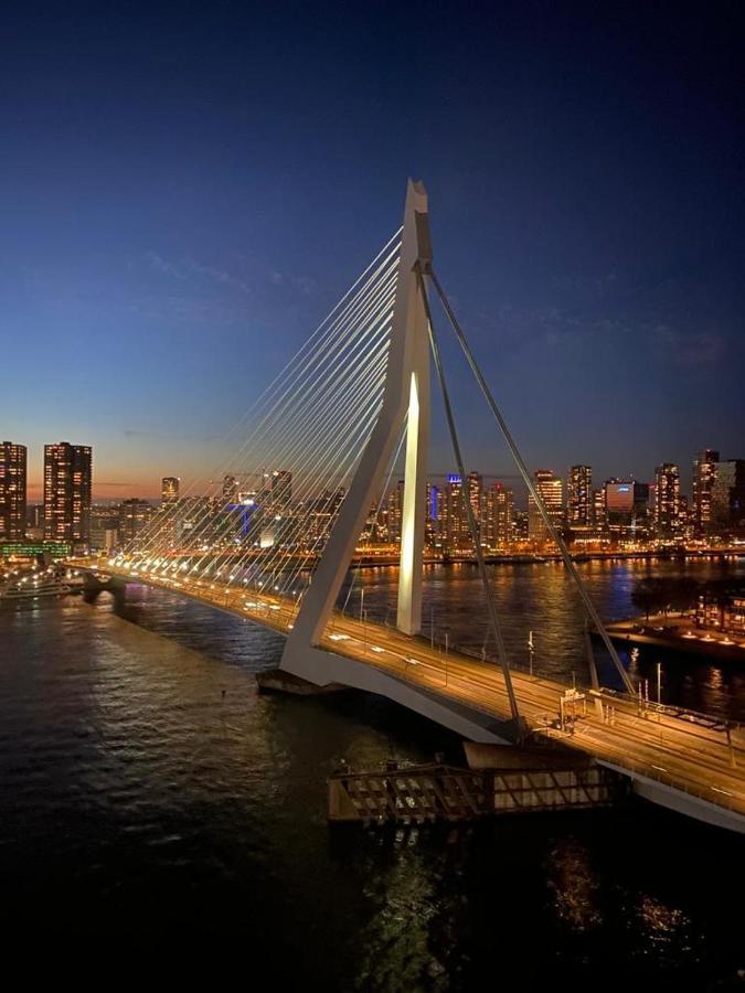 Zomerhaven Zwijndrecht Luaran gambar